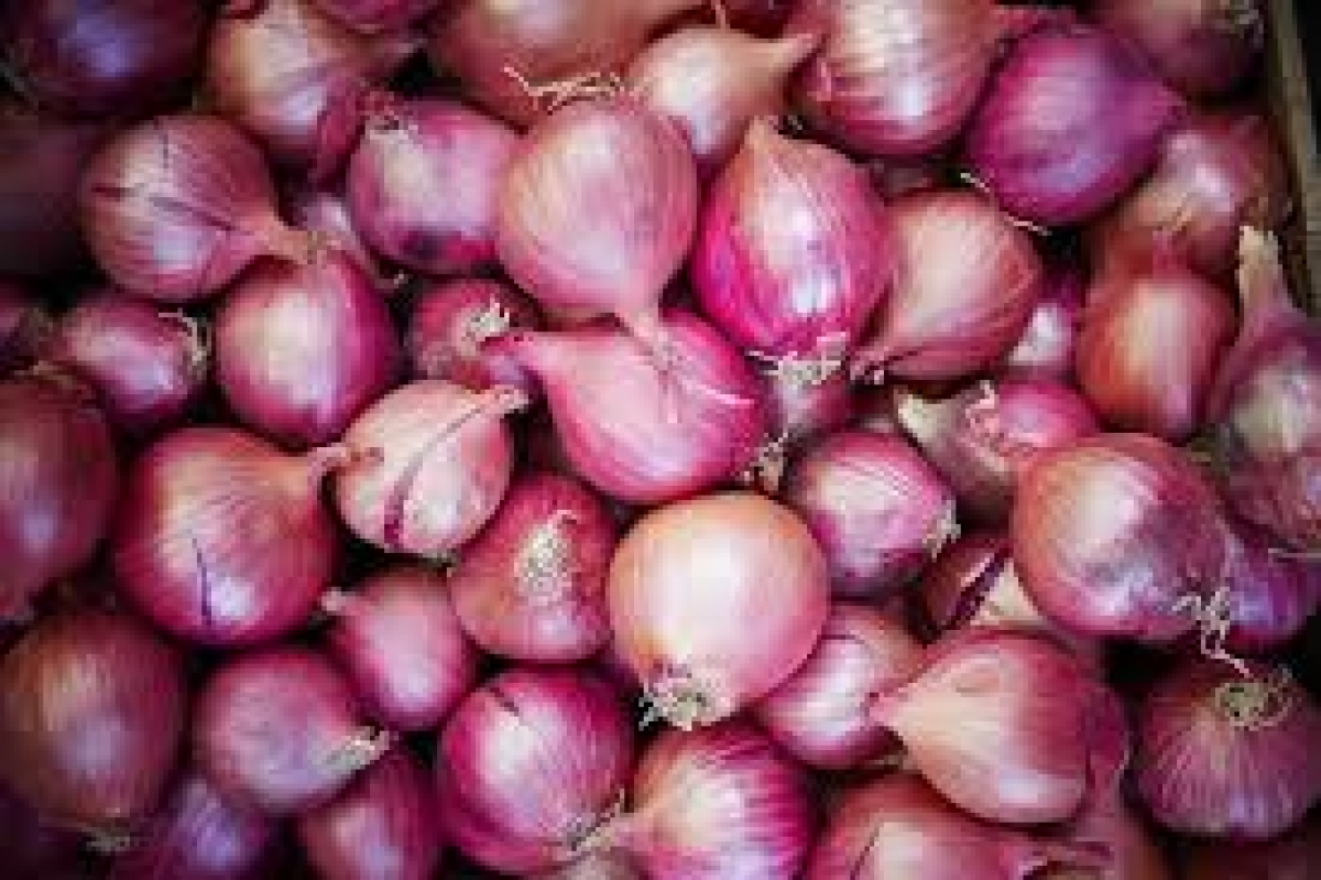 India Lifts Onion Export Ban for Sri Lanka