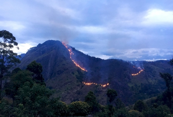 Fire Erupts In Sri Lanka&#039;s Prominent Tourism Area Ella: SLTDA Says &quot;Wildfire Occurred In Steep And Inaccessible Area&quot;