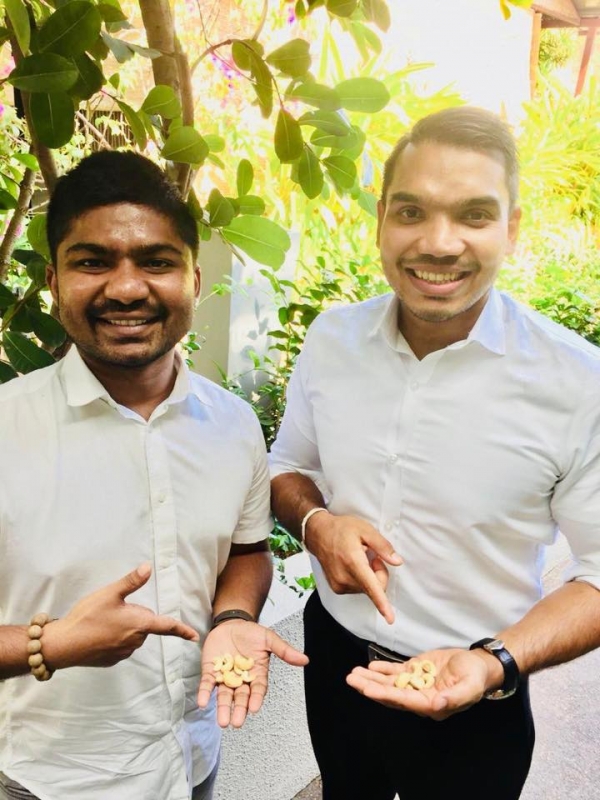 Young MPs Mock President Sirisena Over &#039;Cashew Outrage&#039;: Namal And Chanaka Pose For Photograph With Cashew