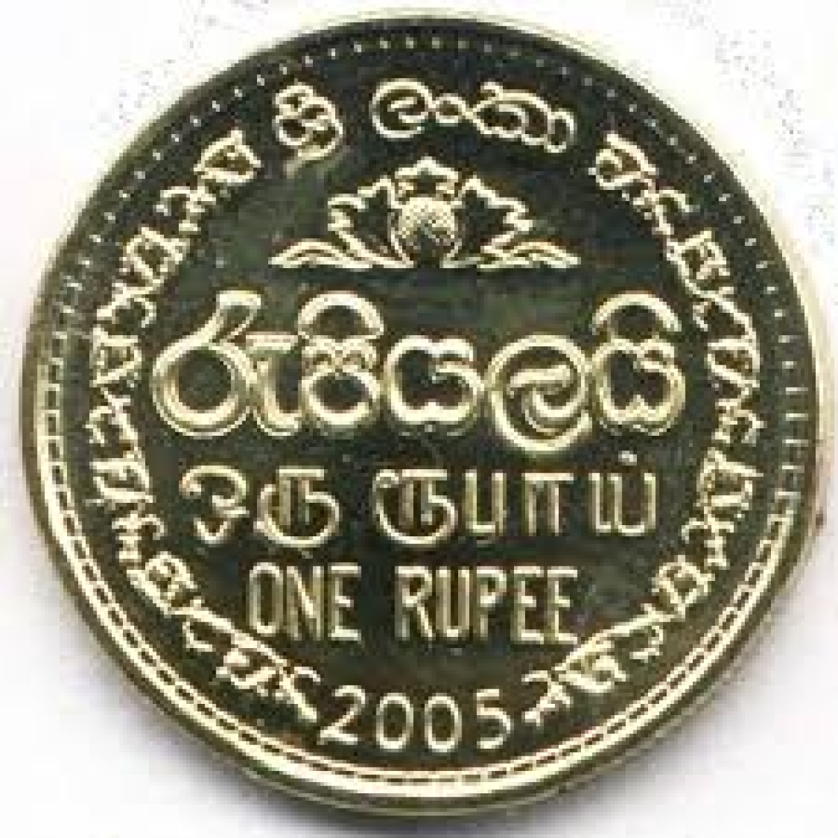 Sri Lankan Rupee Leads Emerging Market Currencies in Q1 2024