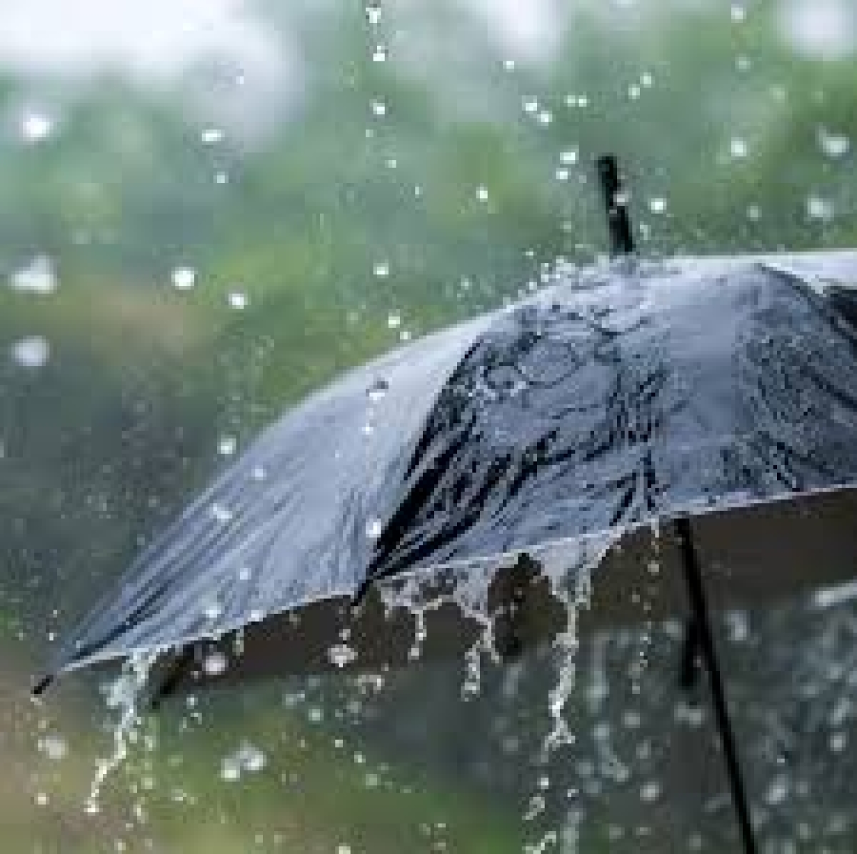 Afternoon Showers Anticipated in Sri Lanka