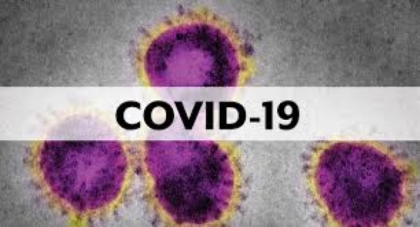 Sri Lanka records 77 positive coronavirus cases