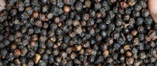 India Permits 78 Companies To Import Duty Free 2,500 Tonnes Of Black Pepper Under Indo-Sri Lankan FTA