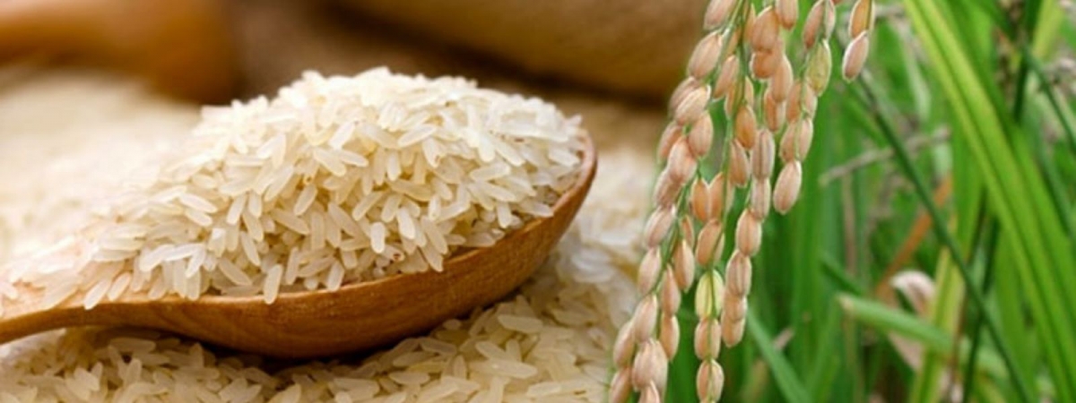 Nadu Rice Prices Exceed Control Price 