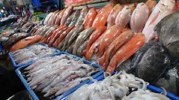 State Minister Instructs To Reopen Peliyagoda Fish Market Soon