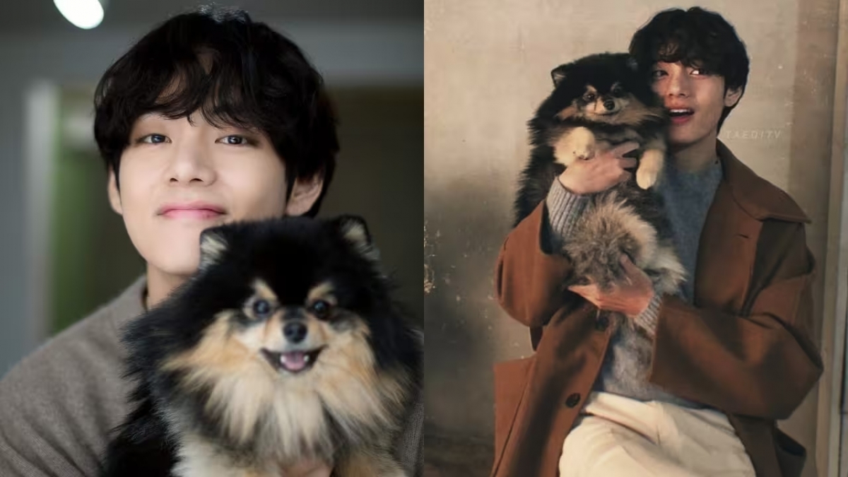 BTS Singer V Shares Heartfelt Tribute Following the Loss of His Dog Yeontan