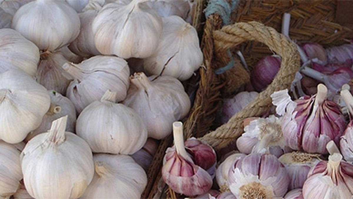 Controversial Revelations By Former CAA Chief: Ministry Of Trade Launches Separate Probe Into &quot;Garlic Fraud&quot; At Sathosa