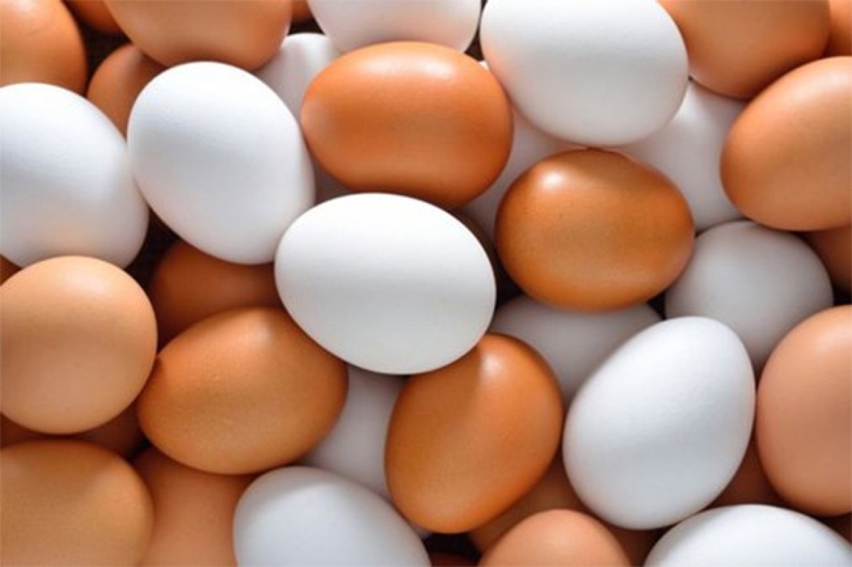 Egg Prices Surge as All Ceylon Egg Traders’ Association Raises Rates