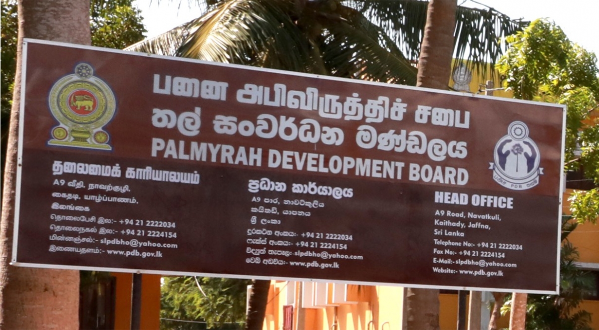 Complaint Filed Over Alleged Election Law Violations in Recent Palmyrah Board Appointments