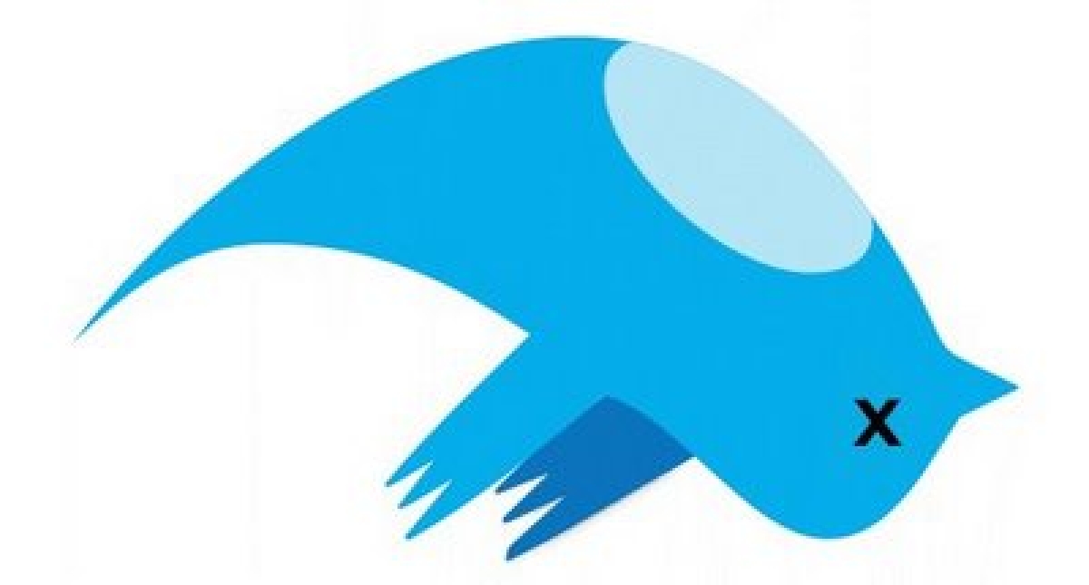 Twittter users speculate site will shut down amid mass employee exit