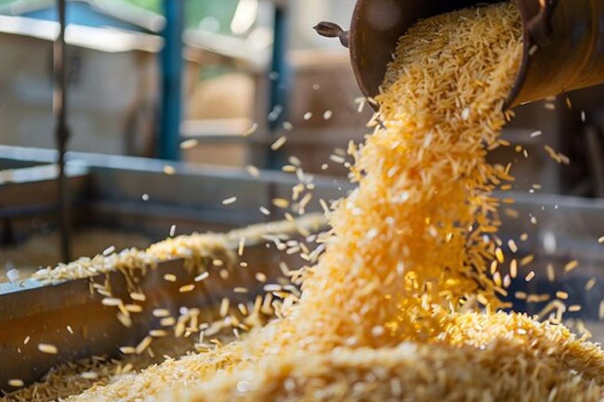 Rice Shortage and Price Surge Linked to Increased Beer Production