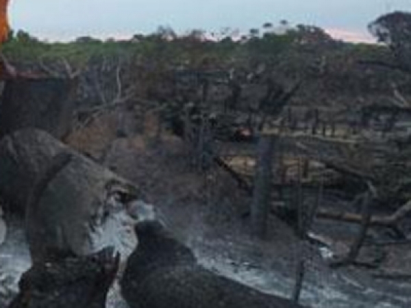 Over 100 acres of forest destroyed in Eluwankulama