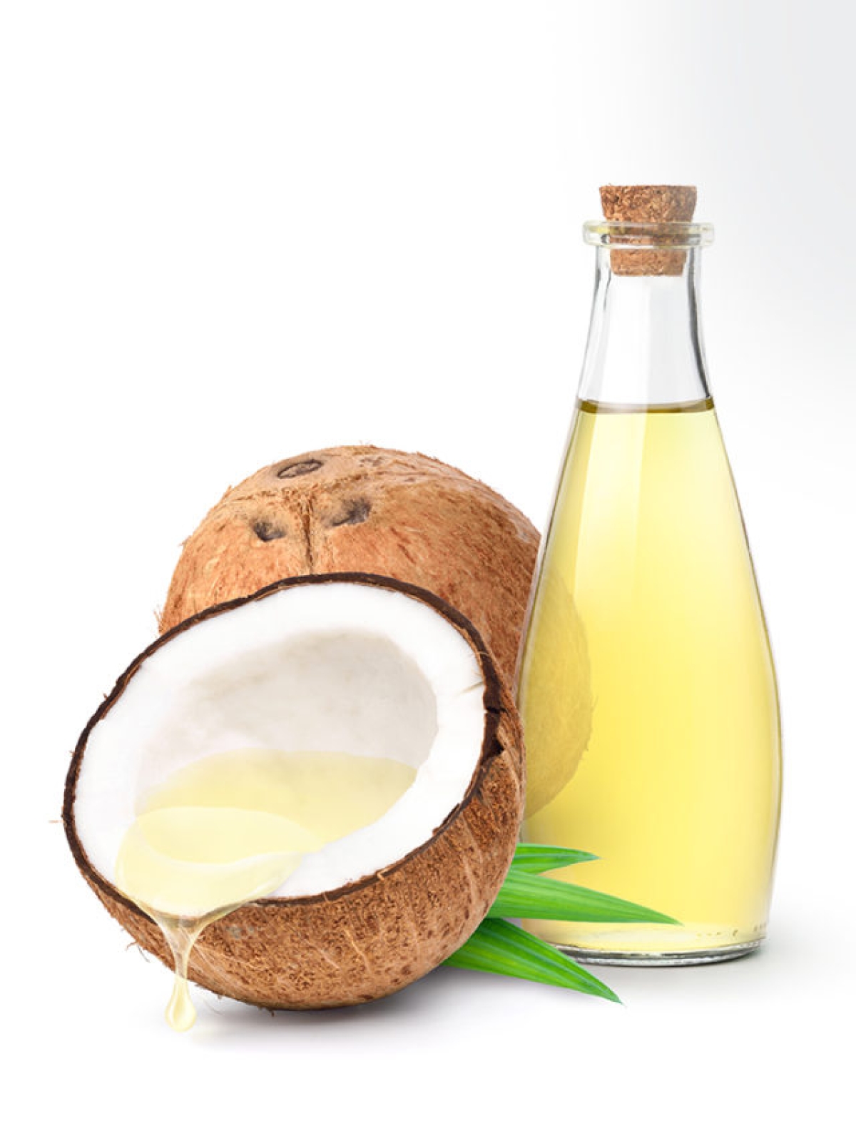 Price of Coconut Oil Expected to Surge