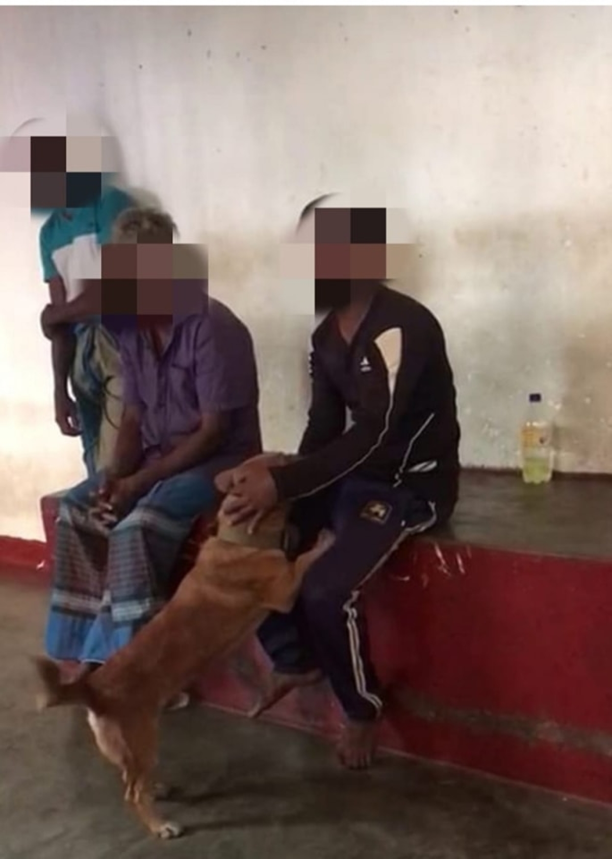 Pet dog in Bulathsinhala saves master from police lockup