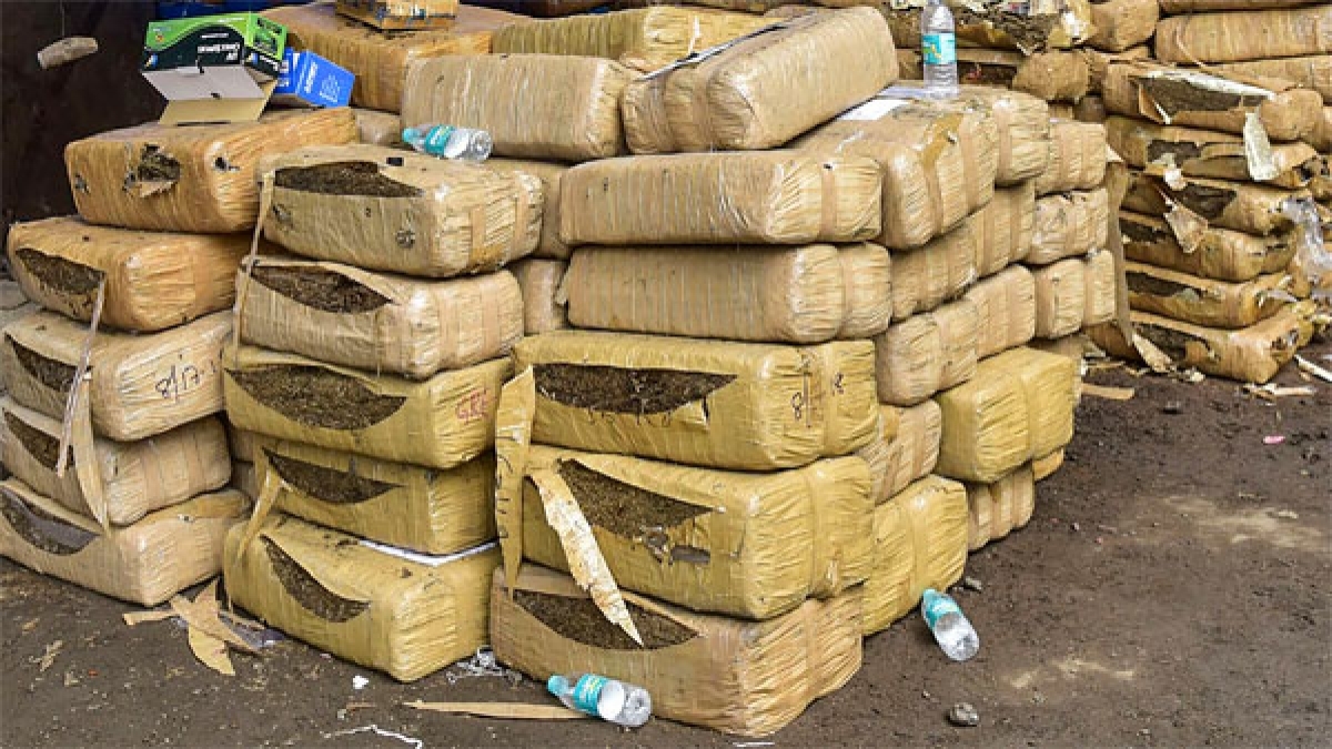 Major Drug Bust Near Tamil Nadu Coast: 99kg Hashish Seized En Route to Sri Lanka