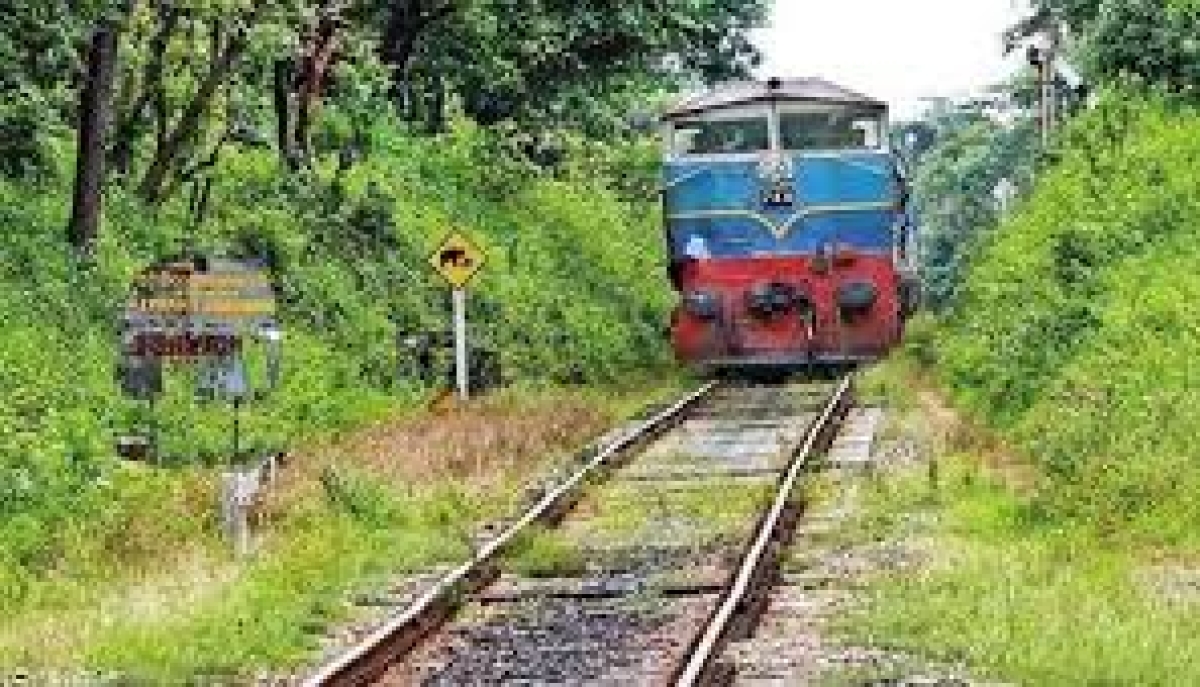 Earthfall Disrupts Train Services Between Ohiya and Idalgashinna Stations