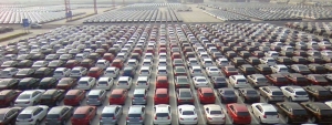 MPs and Ministers Advocate for Tax-Free Vehicle Imports