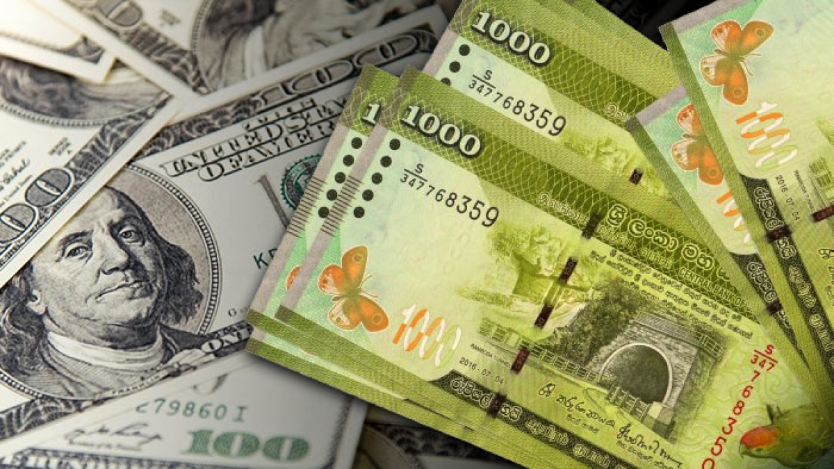 Sri Lankan Rupee Displays Resilience: Stable Exchange Rates Against US Dollar on January 23