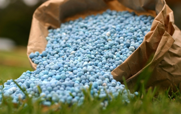 Pakistan To Send 41,000 MT Of Fertilizer