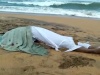 Yet another body washes up ashore in Ratmalana