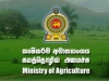 Ministry of Agriculture Begins Paddy Stock Survey