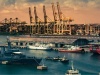 Colombo Port Becomes World's Top Performer in Growth