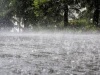 Heavy Showers Over 100 mm Expected Today