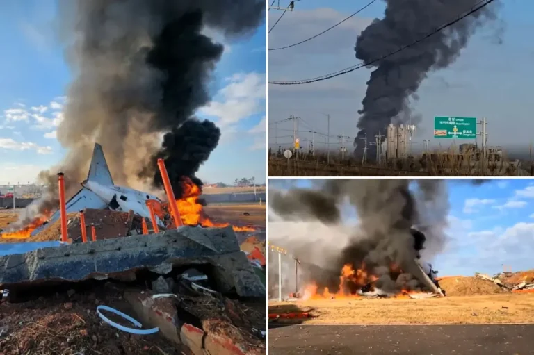 WATCH: 179 dead after South Korean airliner crashes, explodes in fireball