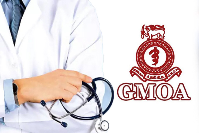 GMOA