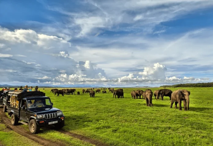 Kaudulla National Park