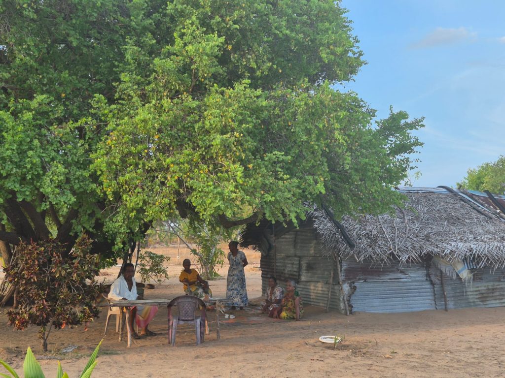 WhatsApp Image 2026 04 20 at 02.15.36 4