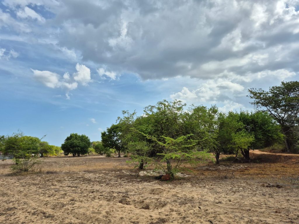 WhatsApp Image 2026 04 20 at 02.15.37 2