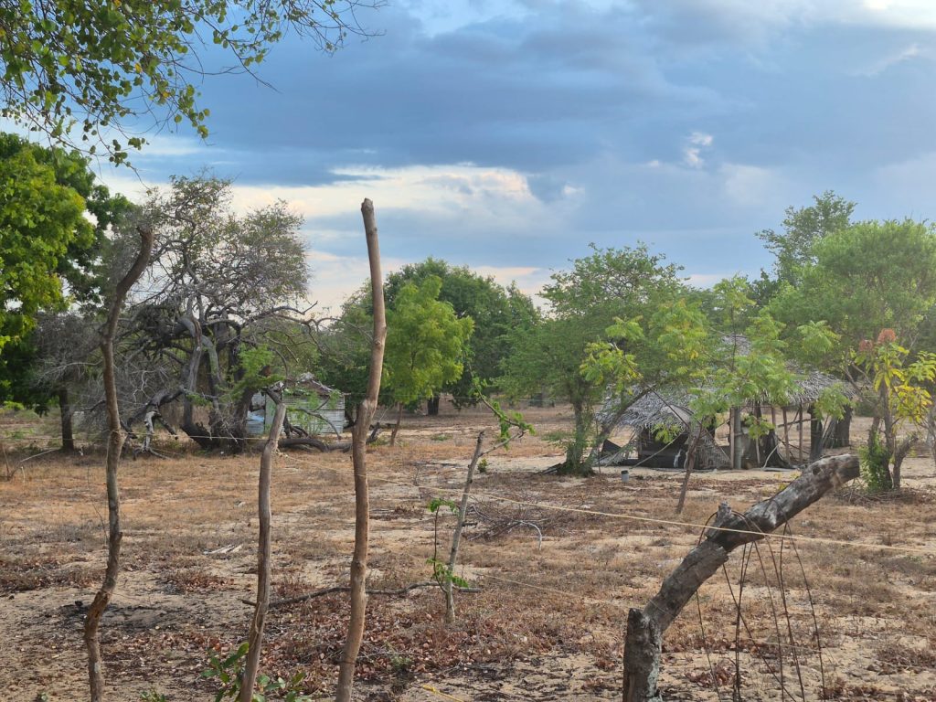 WhatsApp Image 2026 04 20 at 05.10.57