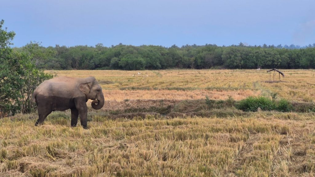 WhatsApp Image 2026 04 20 at 05.23.59