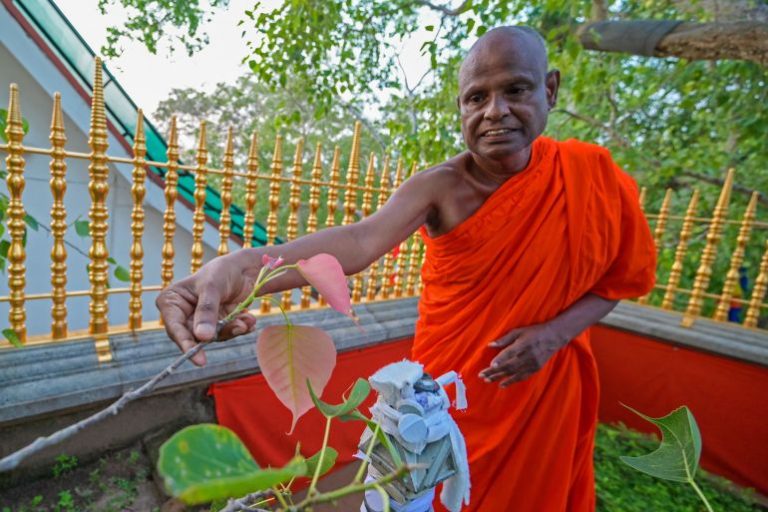 Child Abuse Case: Pallegama Hemarathana Thera Ordered to Provide DNA Sample