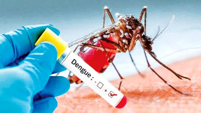 Dengue